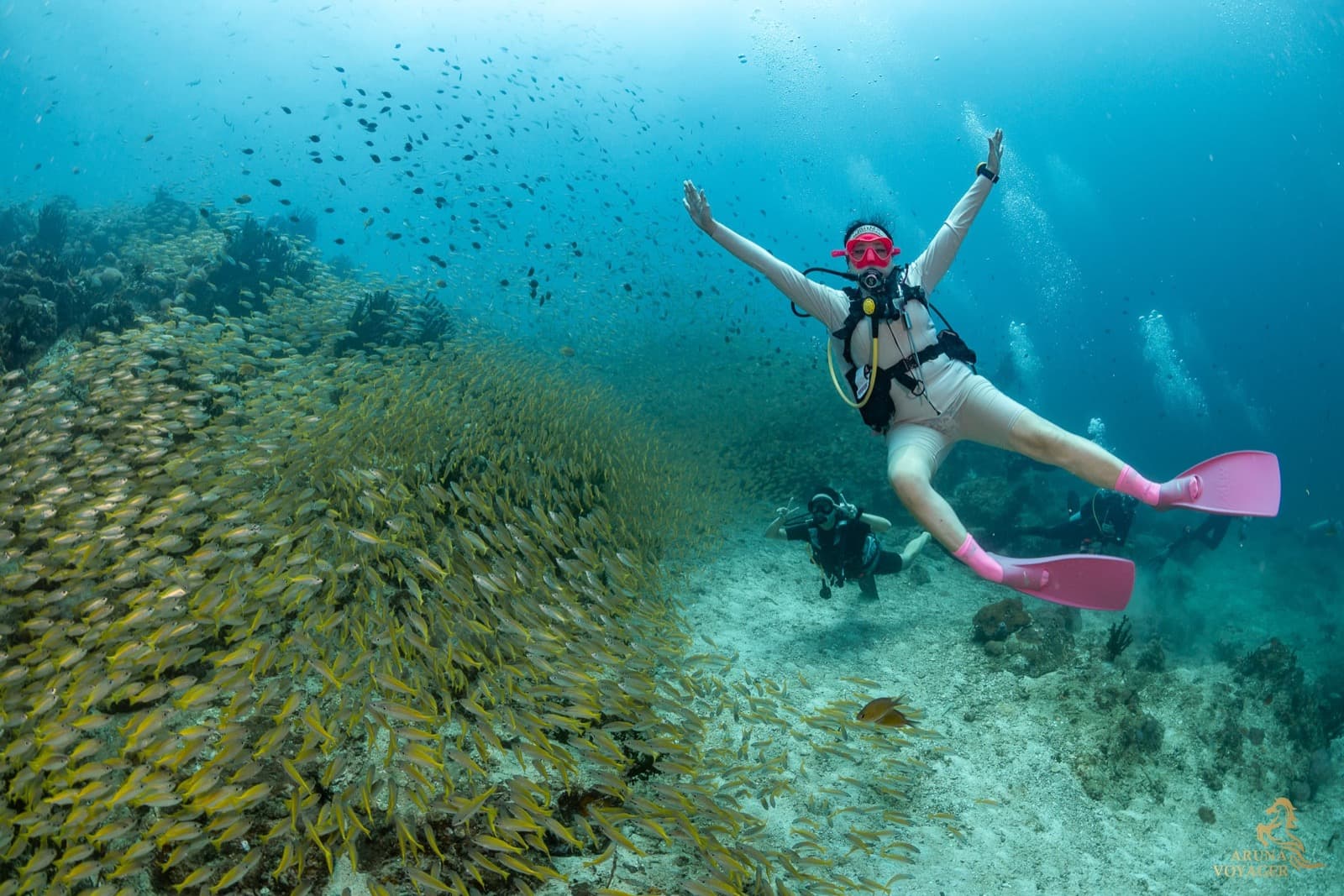 Phuket Scuba Club (by BB Marine)
