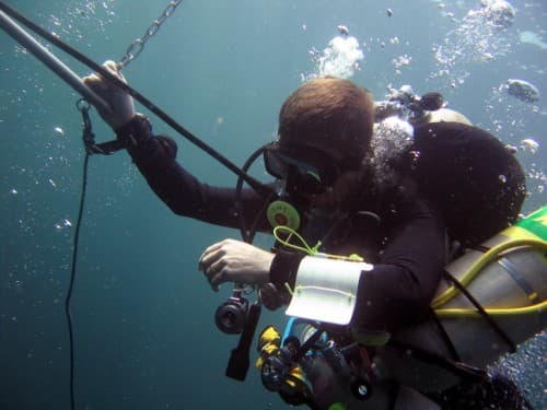 Ocean Zone Divers